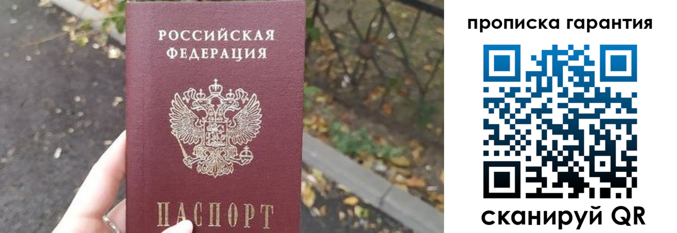 где прописаться в Острогожске